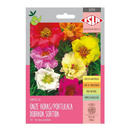 Sementes de Flor Semi-Suculenta