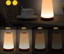 Luminária de Mesa 13 cores Sem Fio Recarregável